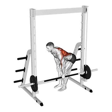 Smith Single Arm Bent-Over Row