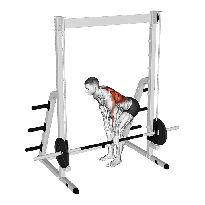 Smith Single Arm Bent-Over Row exercise animation (Männlich)