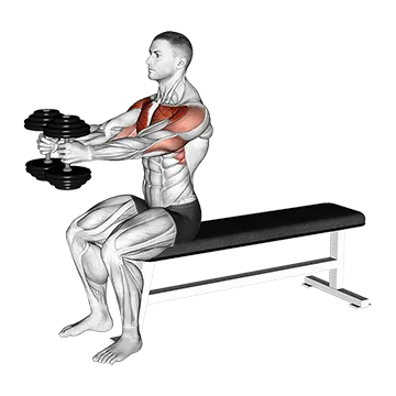 Dumbbell Seated Upright Alternate Squeeze Press