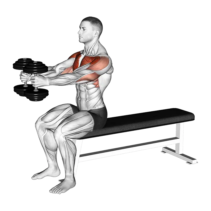 Dumbbell Seated Upright Alternate Squeeze Press exercise animation (Male)
