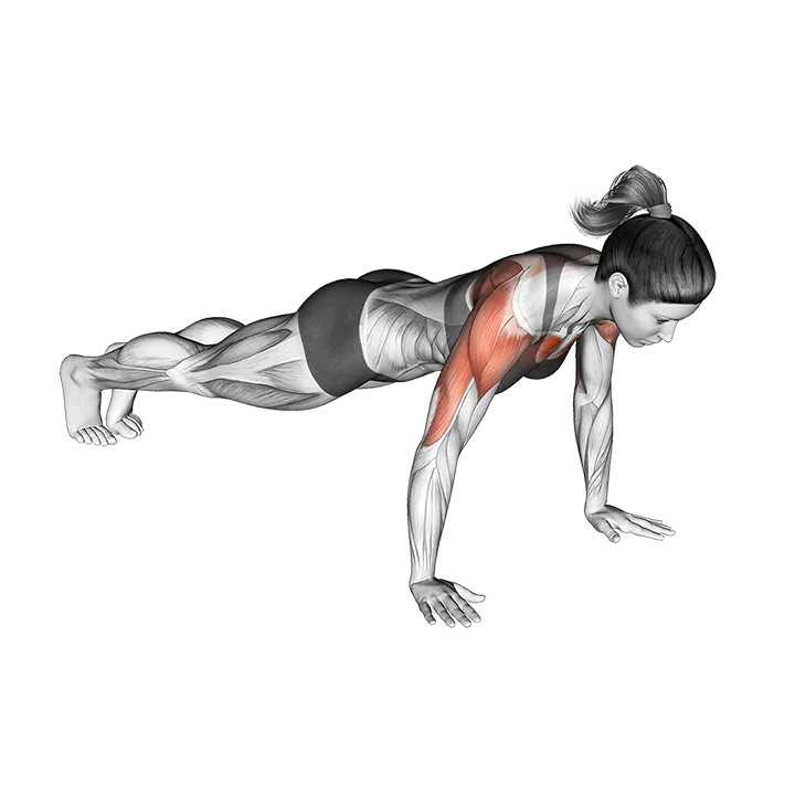 Hands Release Push-Up exercise animation (Female)