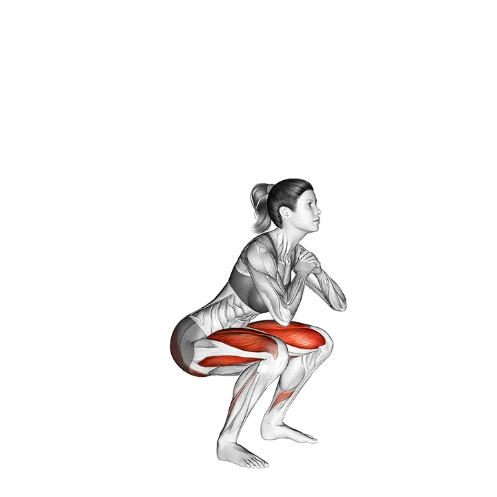 Air Squat exercise animation (Female)