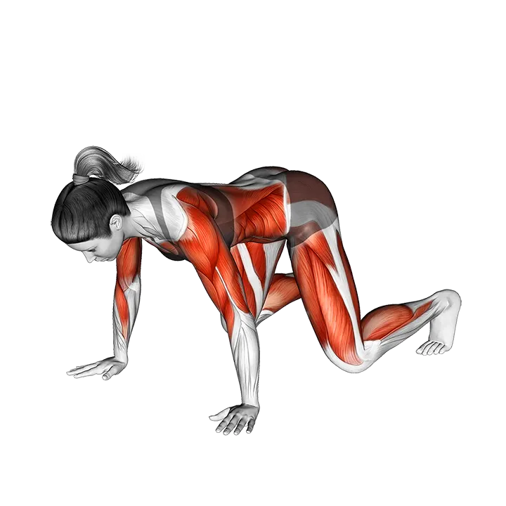 Crawl to Crab exercise animation (Female)