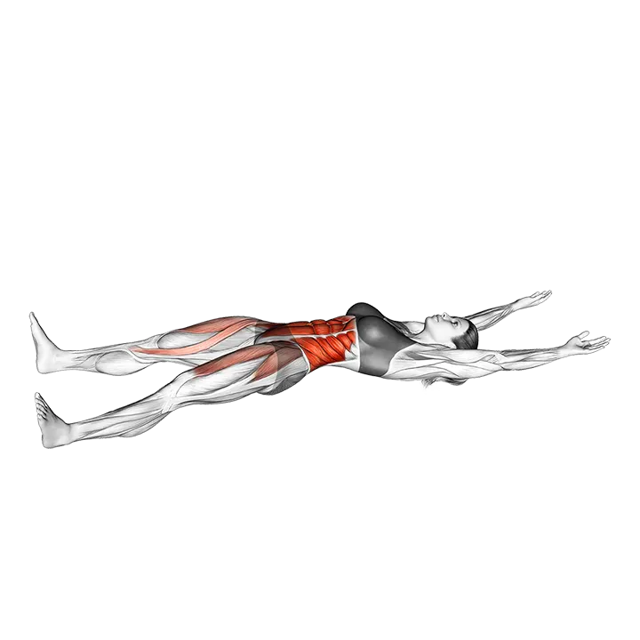 Cross Twisting Sit-Up exercise animation (Female)