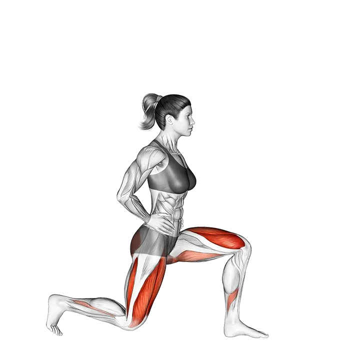 High Knees Lunge exercise animation (Female)
