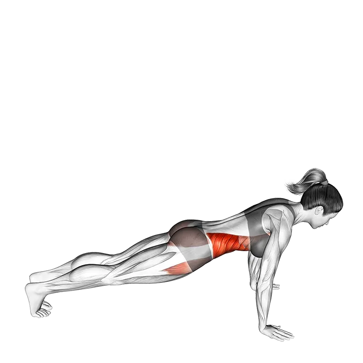 Front to Side Plank exercise animation (Female)