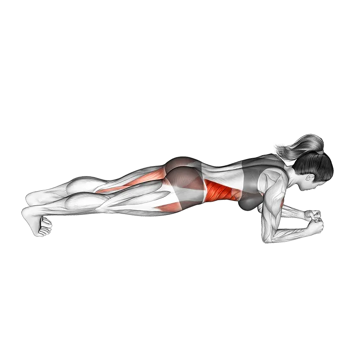 Side Step Front Plank exercise animation (Female)
