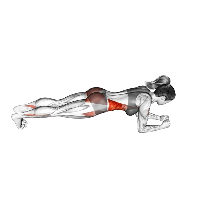 Forward Step Front Plank exercise animation (Female)