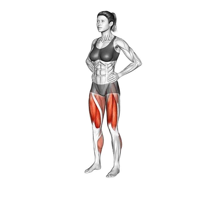 Forward to Side to Rear Lunge exercise animation (Female)