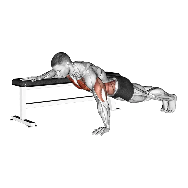 Twist Push-up exercise animation (Male)
