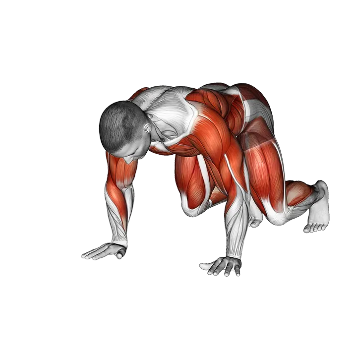 Side Bear Crawl exercise animation (Male)
