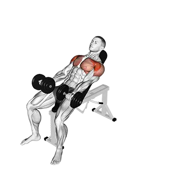 Dumbbell Incline Around the World