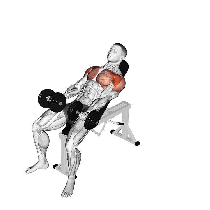 Dumbbell Incline Around the World exercise animation (Male)