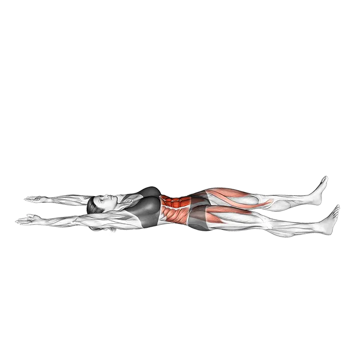 Tuck Up exercise animation (Female)