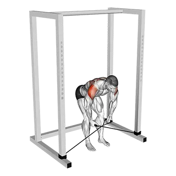 Band bent-over rear lateral raise