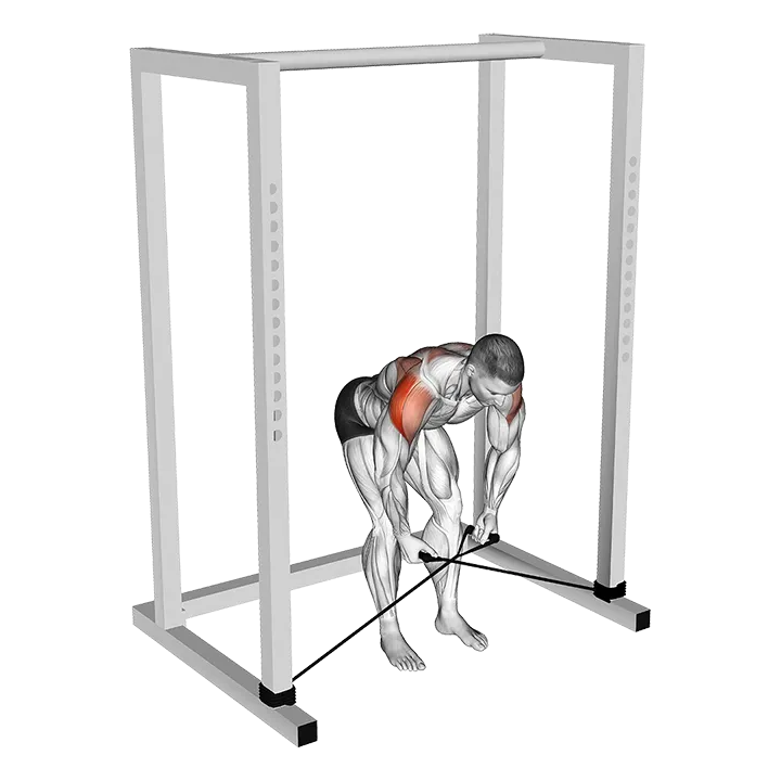 Band bent-over rear lateral raise exercise animation (Male)