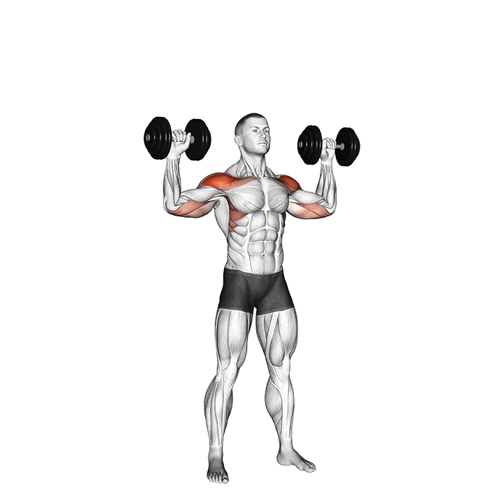 Dumbbell Alternate Shoulder Press exercise animation (Male)