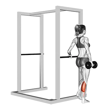 Dumbbell Single Leg Calf Raise (VERSION 2)