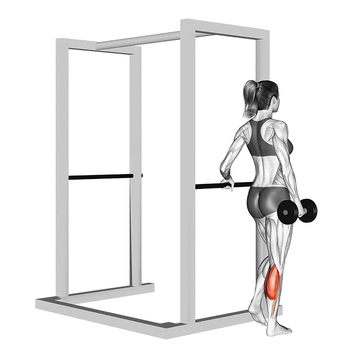 Dumbbell Single Leg Calf Raise (VERSION 2) exercise animation (Female)
