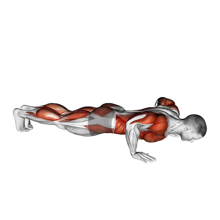Push-up Toe Touch exercise animation (Male)