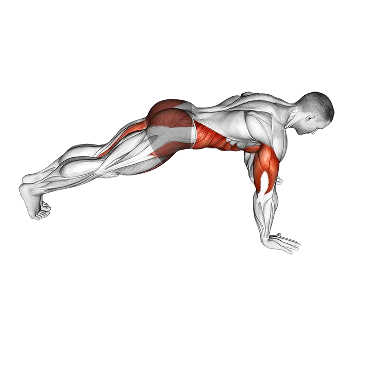 Cross Body Push-up exercise animation (Male)