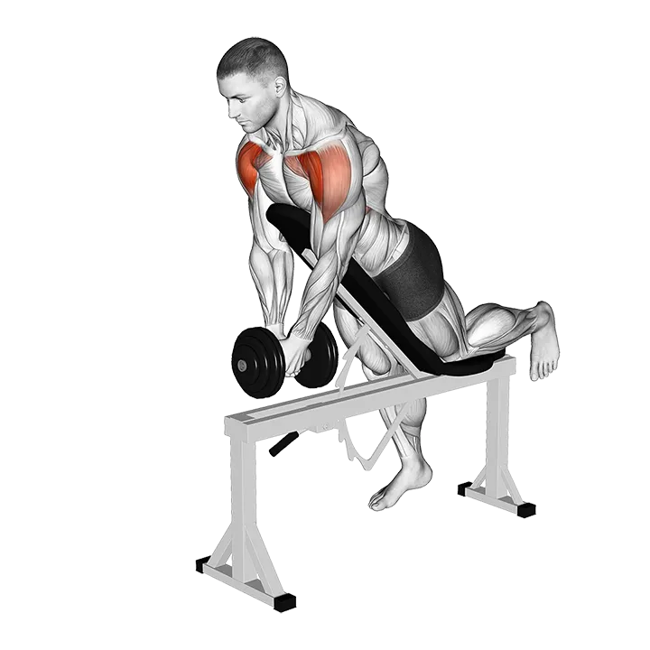 Dumbbell Incline Front Raise with Chest Support exercise animation (Male)
