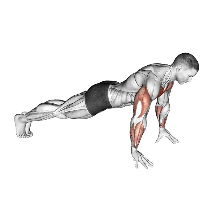 Finger Push-up exercise animation (Male)