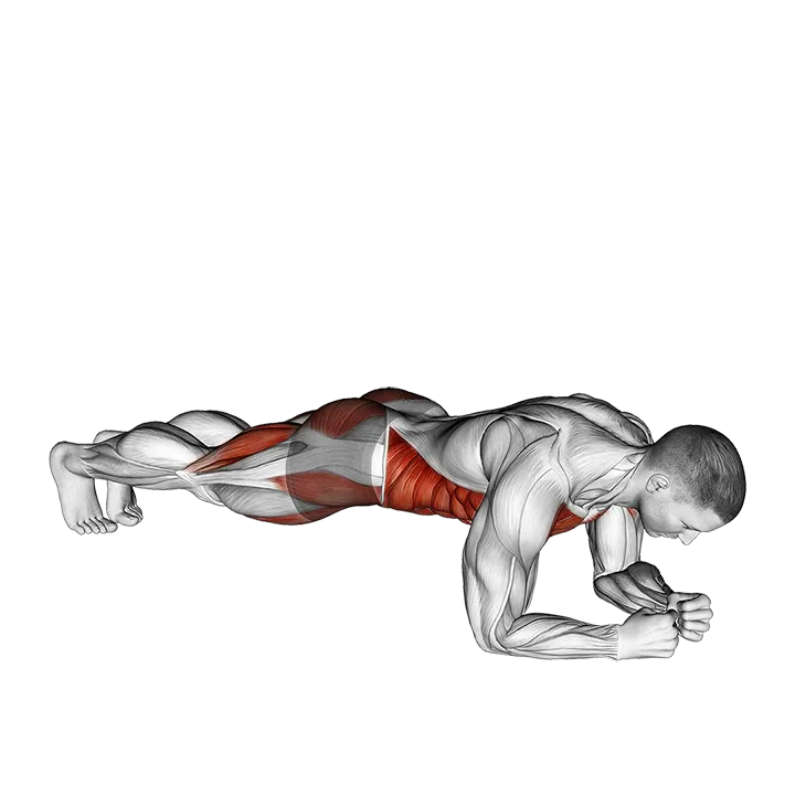 Leg Lift to Chest Front Plank exercise animation (Male)