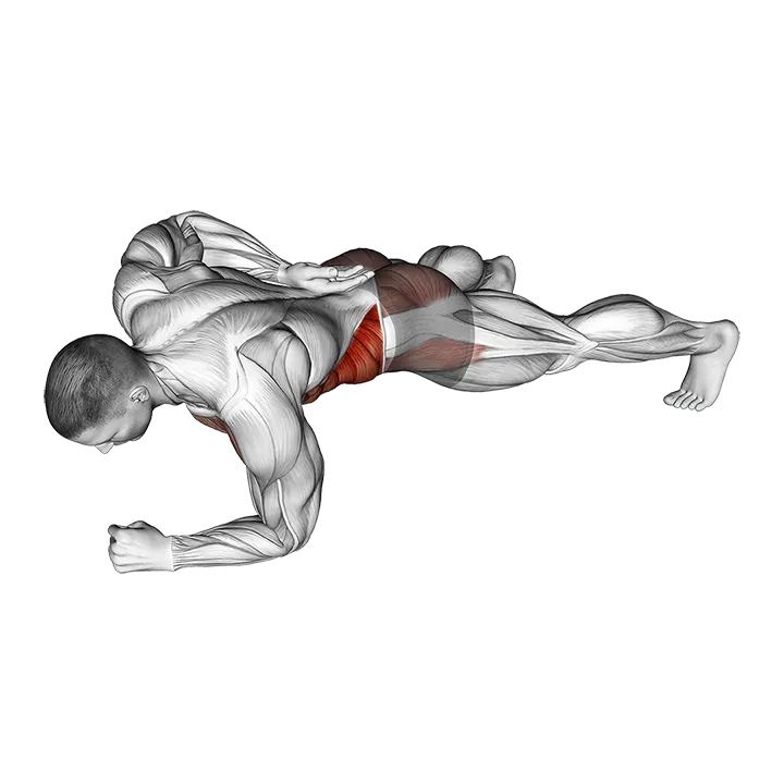 One Arm Front Plank exercise animation (Male)