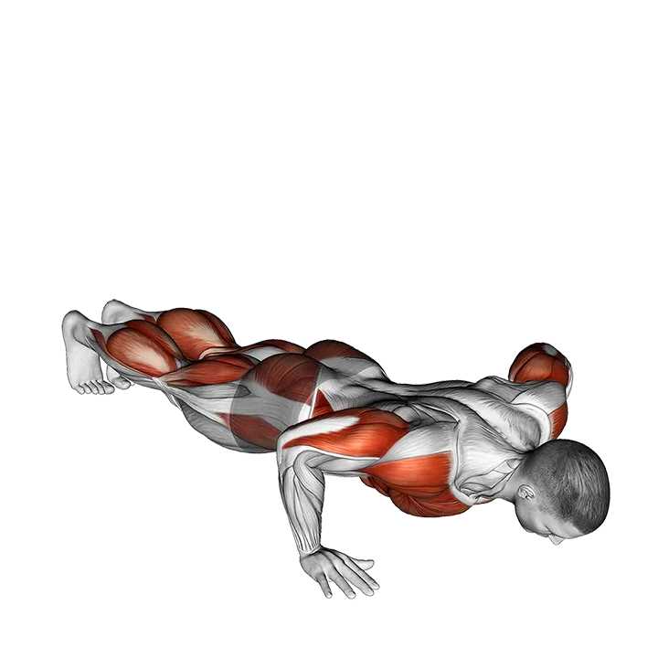 Push-up Pike Toe Touch exercise animation (Male)