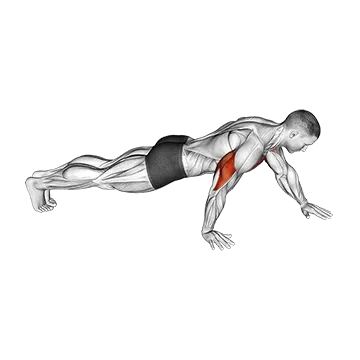 Push-up Hand by Hand