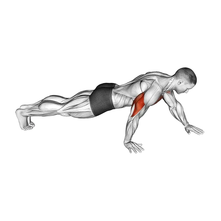 Push-up Hand by Hand exercise animation (Male)