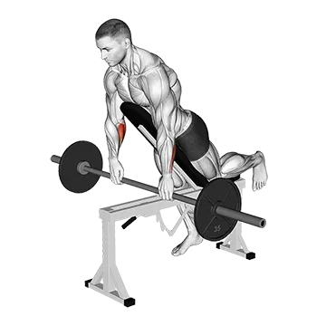 Barbell Incline Wrist Curl with Chest Support