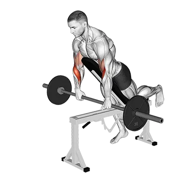 Barbell Incline Reverse grip Spider Curl with Chest Support