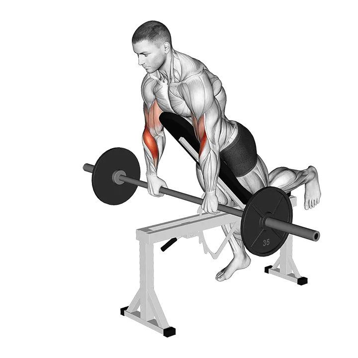 Barbell Incline Reverse grip Spider Curl with Chest Support exercise animation (Male)