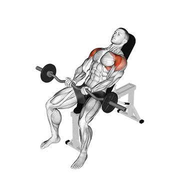 EZ-bar Incline Front Raise