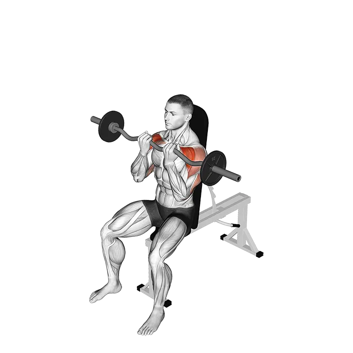 EZ-bar Seated Close grip Shoulder Press exercise animation (Male)