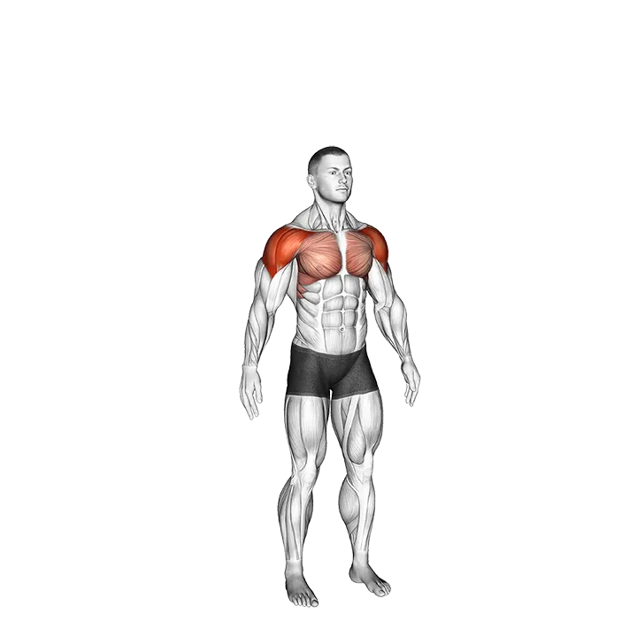 Circles Arm exercise animation (Male)
