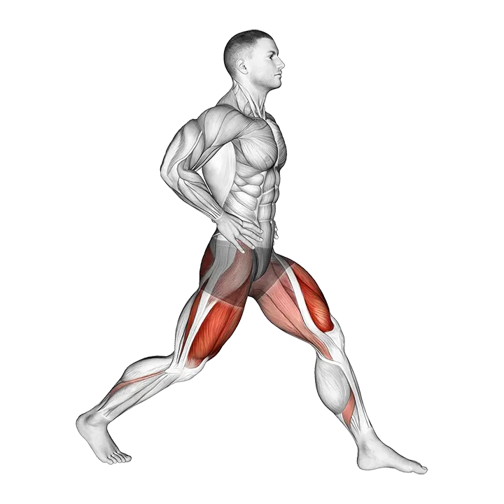 Static Lunge exercise animation (Male)