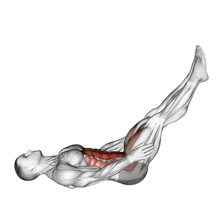 V-up with Clap exercise animation (Male)