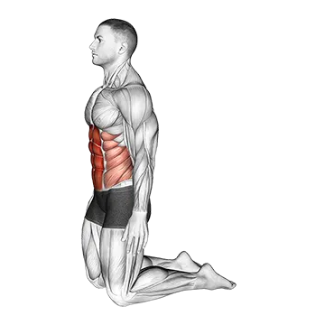 Backward Abdominal Stretch