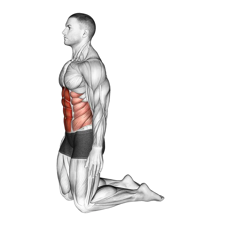 Backward Abdominal Stretch exercise animation (Male)