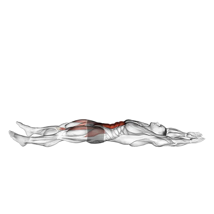 Straight Leg Sit-up exercise animation (Male)