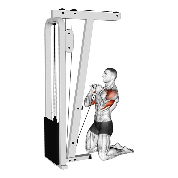 Cable Kneeling Shoulder Press exercise animation (Male)