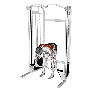 Cable Bent Over Row with Bar
