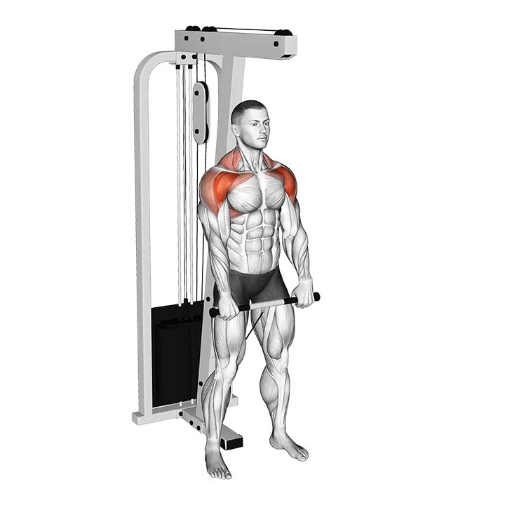 Cable Standing Front Raise Variation exercise animation (Male)