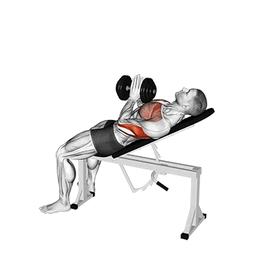 Dumbbell Incline Close-grip Press Variation