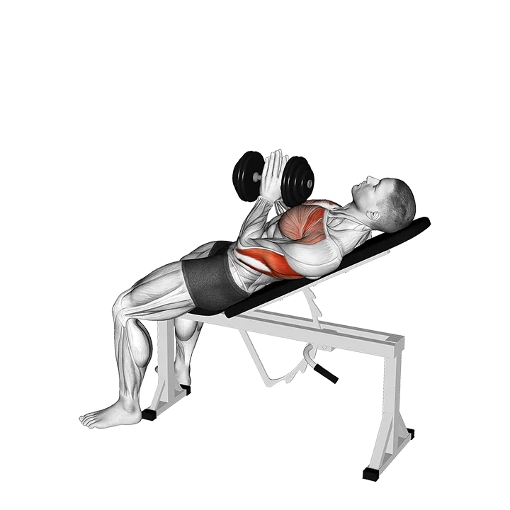 Dumbbell Incline Close-grip Press Variation exercise animation (Male)
