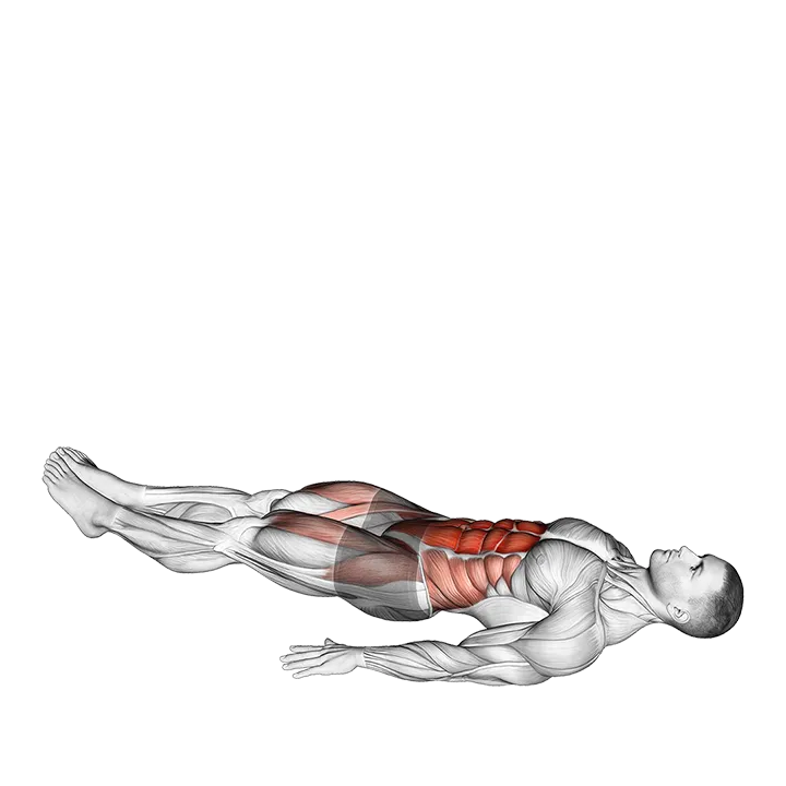 Reverse Crunch (VERSION 2) exercise animation (Male)