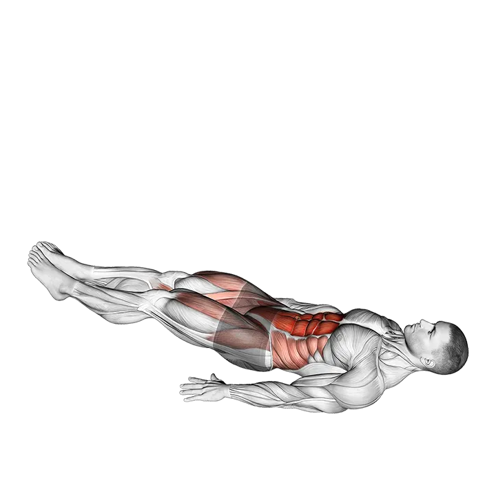 Criss Cross Leg Raises exercise animation (Male)